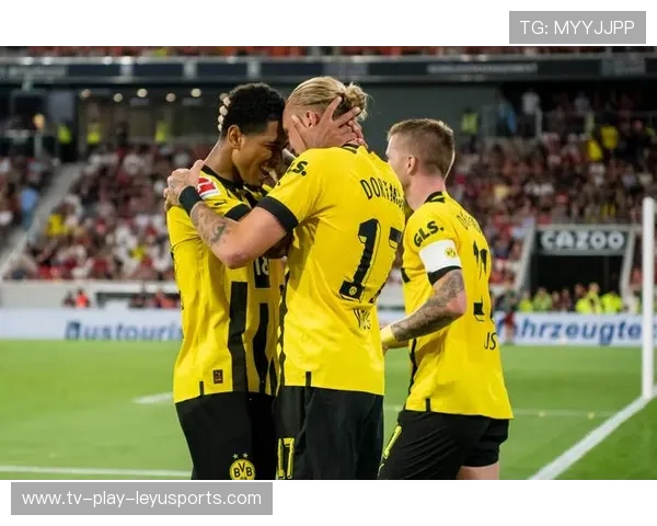 泰尔齐奇携成熟经验，回归引期待，泰尔泰尔