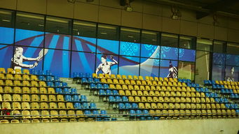 乐鱼中国官网-新加坡队未来计划：建立更完善的青少年乒乓培养体系，新加坡乒乓球运动